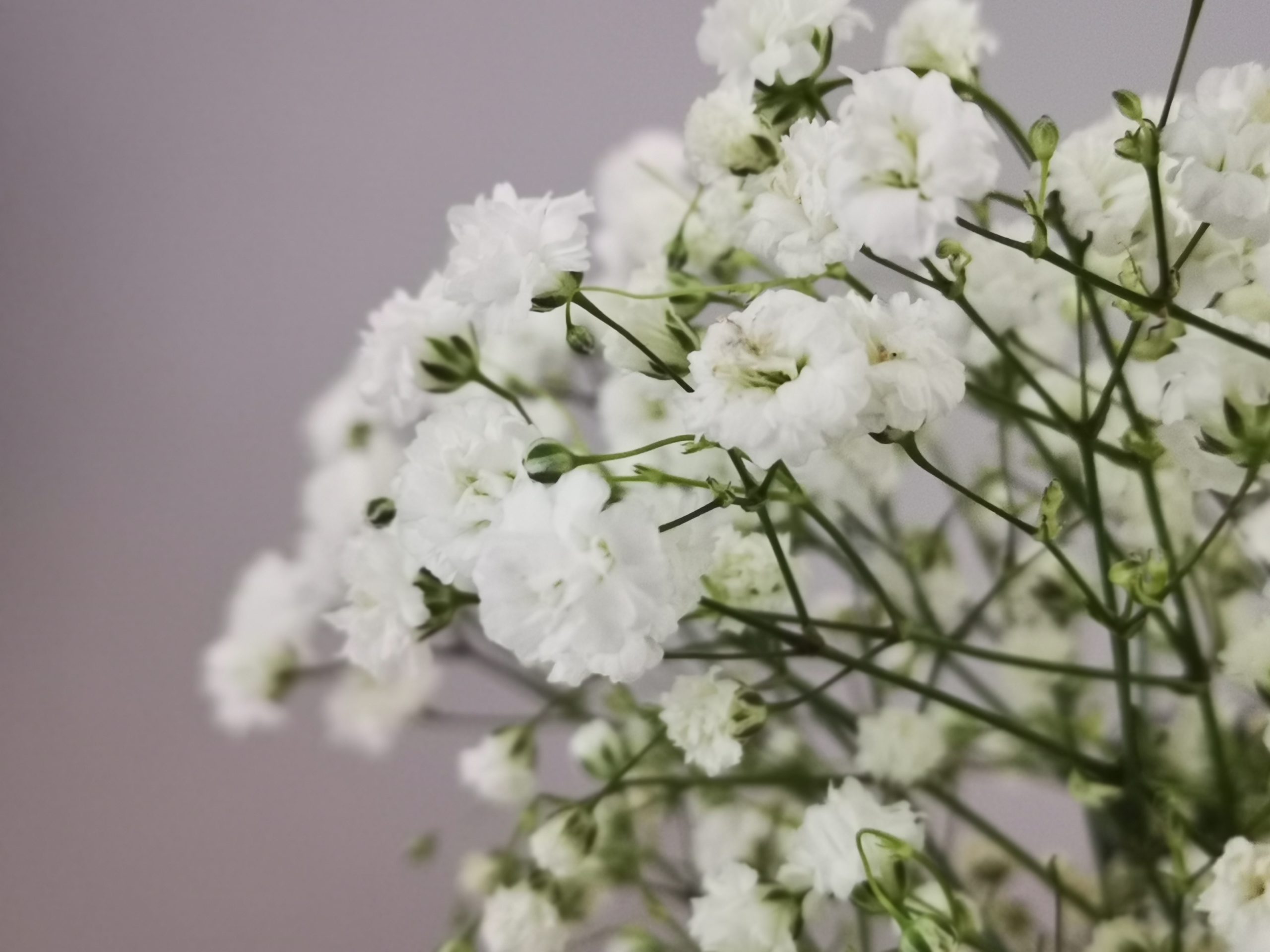 Dekoracja stołu komunijnego